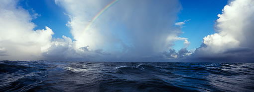 Michael Berman Photography